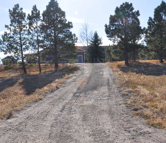 When to Know if It's Time for Driveway Repair in Douglas County, CO